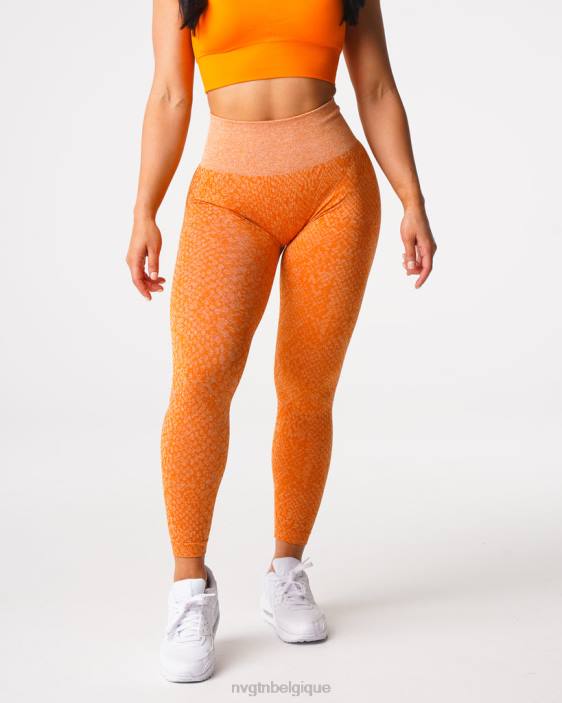 0LFV684 orange brûlée aptitude NVGTN femmes leggings sans couture en peau de serpent